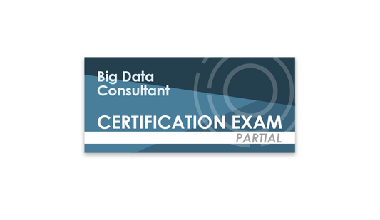 Big Data Consultant (Partial Certification Exam)
